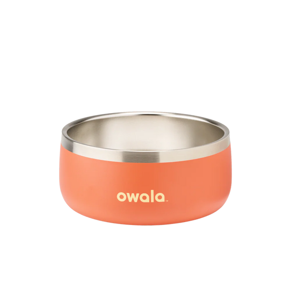 Pet Bowl 3 cups