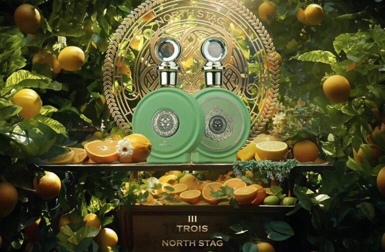 NORTH STAG-EXPRESSIONS TROIS III 100ML