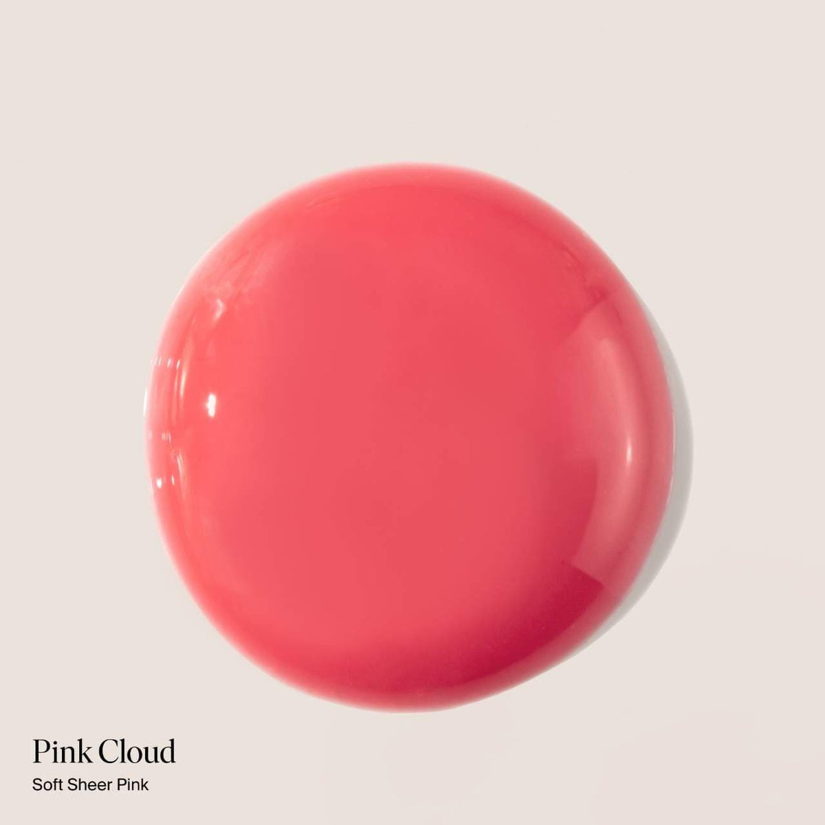 Dream Lip Oil Rose Bud
