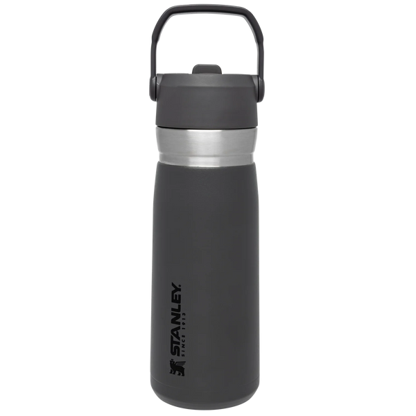 The Go Flip Straw Water Bottle | 22 OZ