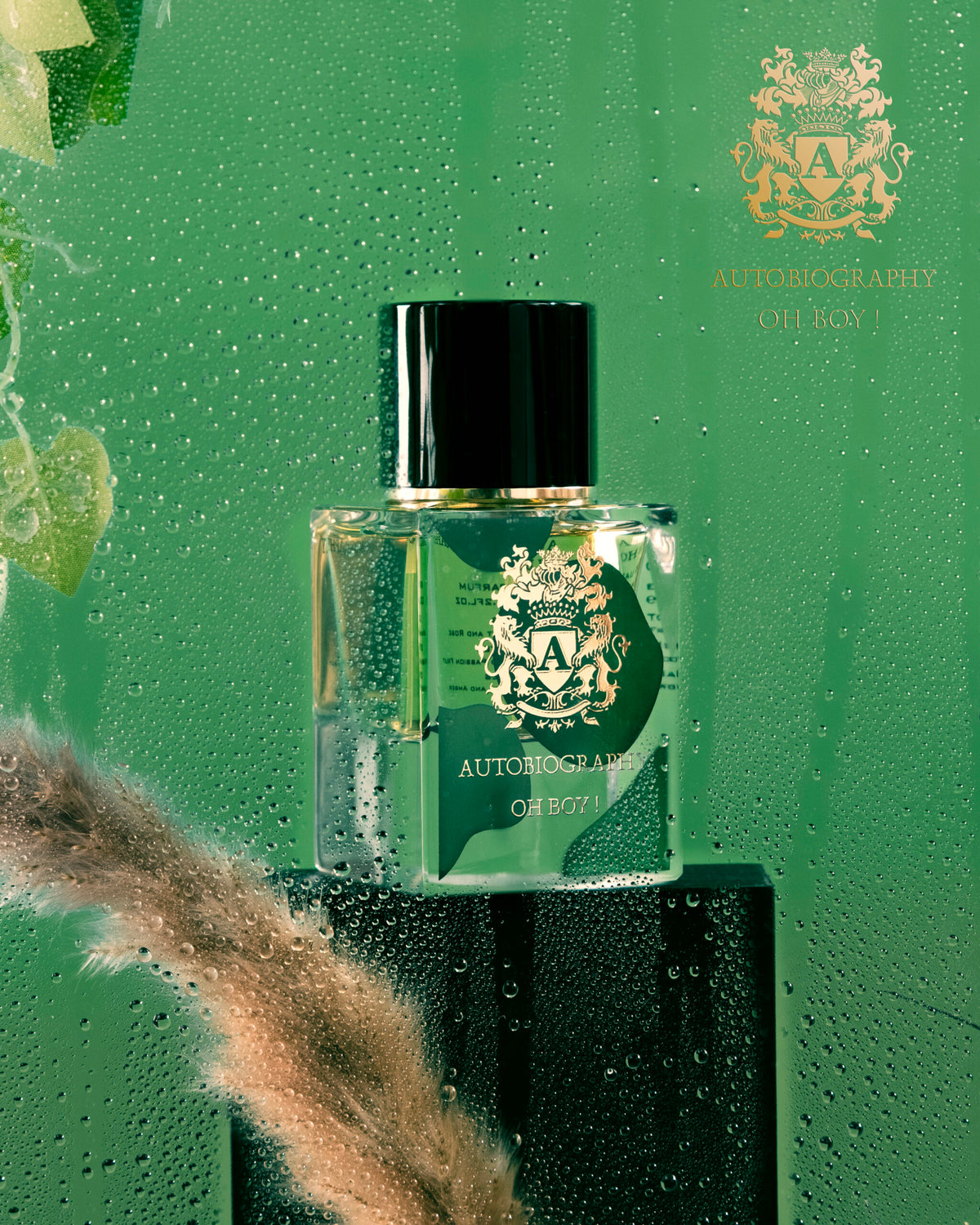 AUTOBIOGRAPHY-OH BOY! 65ML