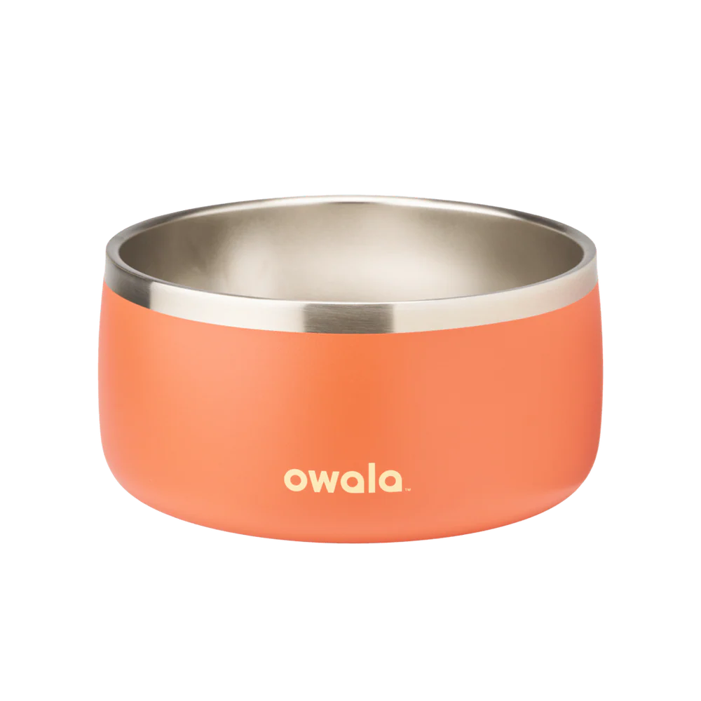 Pet Bowl 6 cups