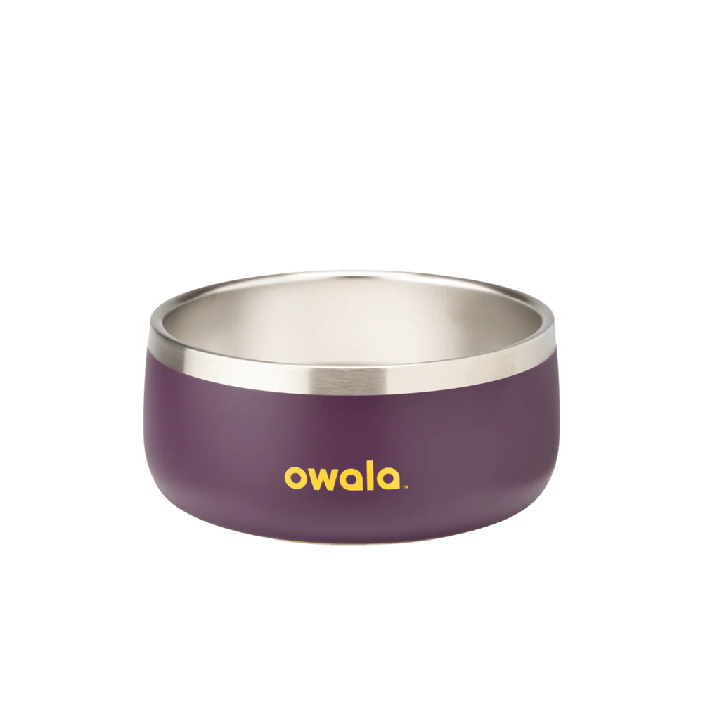 Pet Bowl 3 cups