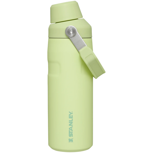 ICEFLOW™ BOTTLE WITH FAST FLOW LID | 16 OZ