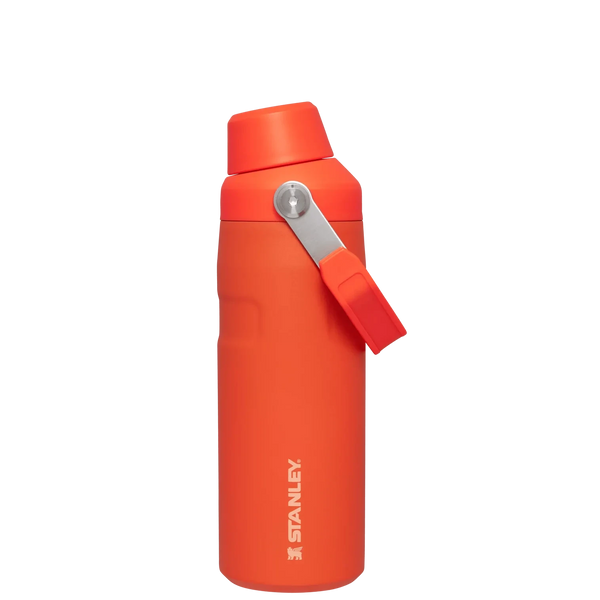 ICEFLOW™ BOTTLE WITH FAST FLOW LID | 16 OZ